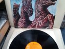 Crazy Horse ?- Crazy Moon (LP) EX/ EX  vinyl record 12