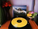 Lemonade — Beyoncé (Yellow 2LP Vinyl) [USED]