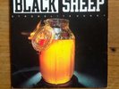 BLACK SHEEP / STROBELITE HONEY / RARE RAP HIP HOP 45 PICTURE COVER