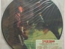 STEVIE RAY VAUGHAN Couldn't Stand The Weaher 1984 US Limited PICTURE DISC LP SRV