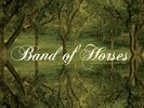 BAND OF HORSES - everything all the time (red vinyl)