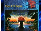 Allman Brothers Band Where It All Begins 2xLP 180 Gram Blue & Black Swirl Vinyl
