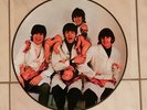 The Beatles Yesterday and Today Picture Vinyl