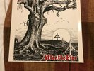 ISD  LP ROCK O RAMA REBELLES EUROPEENS ROR OI SKINHEAD *EX++ CONDITION*