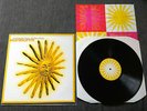 Martin Phillipps & The Chills - Sunburnt - Rare Orig 1996 LP