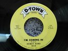 RARE DETROIT NORTHERN SOUL-D-TOWN RECORDS 1054-ROMEY RAND-I'M COMING IN-45