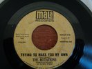 Northern, The Rotations, Trying to Make You My Own, Mala promo # 576, vg