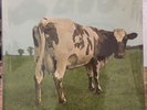 Pink Floyd Atom Heart Mother Shvl 781 Vinyl Blue Rare