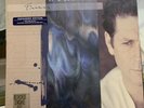 BRIAN WILSON Brian Wilson Expanded 2 LP 180 Gram Vinyl NEW SEALED RSD 2015