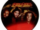 Bee Gees Spirits Having Flown - Sti... USA picture disc LP vinyl  record