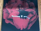 Adore by The Smashing Pumpkins (Vinyl, Oct-2014, 2 Discs, Virgin)
