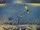 Shakatak Night Birds + Poster vinyl LP album record UK POLS1059 POLYDOR 1982