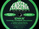 DBX ?– Losing Control (Remixes)