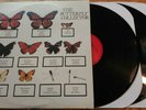 the butterfly collector The Jam rare 2 LP live recording VG+ vinyl mod post punk