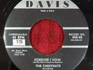 THE CHESTNUTS & RUBY WHITAKER - 7