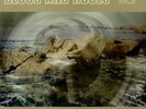 Blood And Roses - Vol... Ewan MacColl & Peggy Seeger UK vinyl LP  record