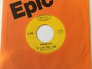 SLY & THE FAMILY STONE - UNDERDOG  / BAD RISK - RARE EPIC SINGLE 5-10229