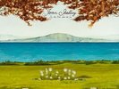 Joan Shelley - Like The River Loves The Sea [New Vinyl LP]