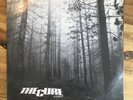 THE CURE - A FOREST (1980) 12