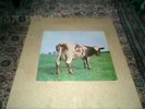  Pink Floyd  Atom Heart Mother  Hör ZU