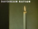 Sonic Youth - Daydream Nation - Gatefold Double LP (NM)
