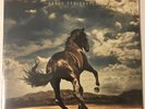BRUCE SPRINGSTEEN WESTERN STARS LP DARK BLUE BLACK WHITE SPECKLED VINYL SOLD OUT