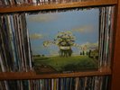 SPOON and RAFTER - mojave 3 (Neil Halstead) - LP RARE ON VINYL