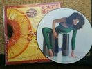KATE BUSH - The Kick Inside Picture Disc - Vinyl LP Limited edition near mint