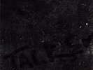 U.S. Maple ‘Talker’ VINYL LP  NEW (16TH AUG)