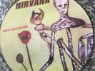 Nirvana Incesticide Picture Disc Vinyl LP Record 180 Gram Original