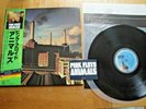 PINK FLOYD - ANIMALS - JAPAN 12
