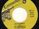 Big Lee Dowell - What I Done Wrong - Cannonball Records