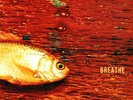The Prodigy - Breathe / VG+ / 12