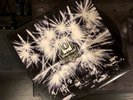 Umphrey’s McGee - Hall of Fame 2013 - Vinyl LP - GREAT CONDITION