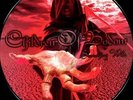 Something Wild by Children of Bodom (Picture Disc LP, 2009 Spinefarm, USA)