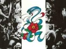 ROSE TATTOO: ROSE TATTOO -HQ/REISSUE [LP vinyl]