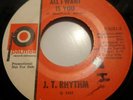 RARE DETROIT  NORTHERN SOUL...J.T. RHYTHM ...ALL I WANT IS YOU...PALMER 5021