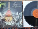 SHAGGY Lessons For Beginners RARE 1975 Swedish 1st press prog rock RGLP 80 VG+