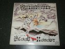 SKINHEAD/OI/PUNK BLOOD AND HONOUR FIRST ISSUE ROCK-0-RAMA LP VINYL