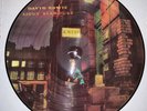 DAVID BOWIE, ZIGGY STARDUST, 180 GRAM PICTURE DISC VINYL LP W/ JACKET,