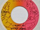 LITTLE JEWEL I Want To TAY-STER 45 mod northern soul funk NM HEAR