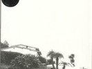 Timber Timbre Hot Dreams - White Vinyl + Shrinkwrap vinyl LP album record UK