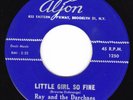 Doo Wop Teen 45 - RAY And The DARCHAES - Little Girl So Fine / Carol