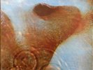 Pink Floyd: Meddle. 1971 Harvest SHVL 795 AUS pressing