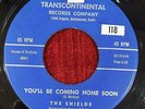 THE SHIELDS - 7