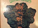 Extremely rare ULTIMATE SPINACH 1st - Mono Vinyl - White Label Promo E-4518