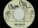 Funk Disco 45 - She Devil - She Devil - Charm City - VG++ mp3