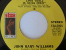 Northern Soul JOHN GARY WILLIAMS The Whole Damn World Is Going Crazy VG+ Orig.