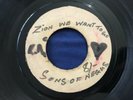 SONS OF NEGUS / ZION WE WANT TO GO ROOTS REGGAE KILLER 45  BLANK