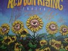 Red Sun Rising, Signed Limited Edition, Thread, Yellow Vinyl